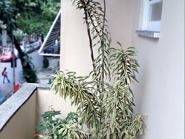 Luiz Leblon Guest House Rio de Janeiro Luaran gambar